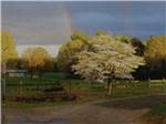 A rainbow over the campground at VAN HOY FARMS FAMILY CAMPGROUND - thumbnail