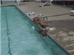 A boy jumping into the swimming pool at VAN HOY FARMS FAMILY CAMPGROUND - thumbnail