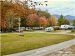 A row of trailers parked under fall cover trees at FLAMING ARROW CAMPGROUND - thumbnail