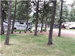 View larger image of A group of trees by a RV site at JIM  MARYS RV PARK image #10