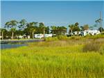 Trailers camping on the water with green weeds at GOOSE CREEK CAMPGROUND - thumbnail
