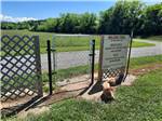 A dog at the fenced in pet area at RIVERSIDE RV PARK & RESORT - thumbnail