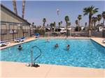 View larger image of RVs and trailers at campground at HOLIDAY PALMS RESORT image #1