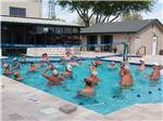 View larger image of A large group of people playing water volleyball at ALAMO ROSE RV RESORT image #4