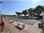 View larger image of The shuffle board courts at WINTER RANCH RV RESORT image #12