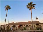 The front building with two palm trees at VIP RV RESORT & STORAGE - thumbnail
