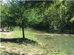 View larger image of The shoreline of the river at BANDERA PIONEER RV RIVER RESORT image #3