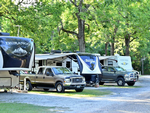 Parked RV's at site Cajun Heritage RV Park - thumbnail