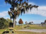 View of pinic site at Lake End Park Campground & Cabins - thumbnail