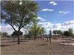 View larger image of RV sites amid tables and trees at OK RV PARK image #9