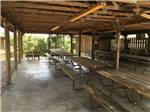View larger image of Picnic area with picnic tables under a wooden canopy at WANDERLUST RV PARK image #8