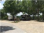 View larger image of RVs parked under green trees in large sites at WANDERLUST RV PARK image #10