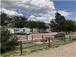 Trees dot a campground with RVs and wooden frences at ROYAL VIEW RV PARK - thumbnail