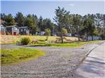 Park road - thumbnail