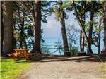Picnic table at site - thumbnail