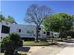 View larger image of Row of RVs parked in sites at RV PARK USA image #4