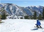View larger image of A man going down a mountain skiing nearby at FAIRPLEX RV PARK image #8