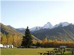 Autumnal landscapes at MOUNTAIN VIEW RV PARK - thumbnail