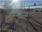 View larger image of The fenced in pet area at LITTLE VINEYARD RV RESORT image #11