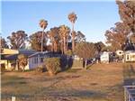 A view of a grouping of RV sites at DUCK ISLAND RV PARK & FISHING RESORT - thumbnail