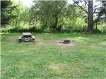 A picnic table and fire ring at OLEMA CAMPGROUND - thumbnail