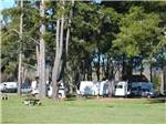 A green field with RVs under trees at OLEMA CAMPGROUND - thumbnail