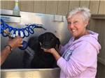 View larger image of A woman washing her black dog in the pet washing area at HILTON HEAD HARBOR RV RESORT  MARINA image #10