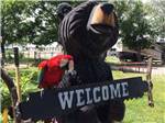 View larger image of Bear statue with a red parrot on it at GRANDVIEW CAMP  RV PARK image #2