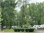 View larger image of Bushes near the RV sites at CAMP LORD WILLING RV PARK  CAMPGROUND image #8
