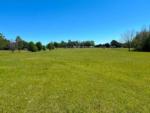 View of a large, green grassy area at TIFTON RV PARK I-75 (FORMERLY TIFTON KOA) - thumbnail