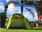 View larger image of A tent in one of the tent sites at VENTURA BEACH RV RESORT image #10