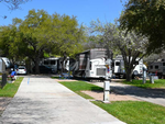 RVs in sites with trees - thumbnail