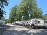 A row of RVs in sites at Indian Point Campground - thumbnail