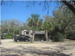 View larger image of RV site with palm trees at NORTH BEACH CAMP RESORT image #8