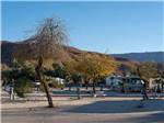 A group of dirt RV sites at PALM CANYON HOTEL AND RV RESORT - thumbnail