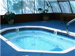 View larger image of The indoor hot tub with plants at AMERICAN RV RESORT image #6