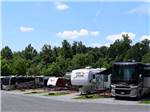 A row of RVs sitting in front of trees at CHERRY HILL PARK - thumbnail