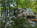 View larger image of A travel trailer in an RV site under trees at INDIAN ROCK RV PARK image #5