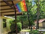 View larger image of A pride flag flying at the front office at INDIAN ROCK RV PARK image #11