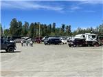 RVs in the park - thumbnail