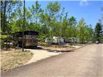 Road leading to parked RVs at INDIGO BLUFFS RV PARK AND RESORT - thumbnail