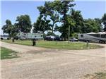 The road going thru the RV sites at PECAN GROVE RV PARK - thumbnail