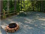 A fire pit and picnic table at site - thumbnail