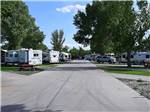 View larger image of Road leading into campground at FALLON RV PARK image #1