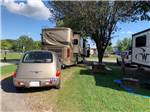 RVs parked under trees at MEMPHIS GRACELAND RV PARK & CAMPGROUND - thumbnail