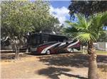 View larger image of A Class A motorhome parked in an RV space at TEXAS TRAILS RV RESORT image #4