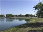 RV sites by the water at SEAWIND RV RESORT ON THE BAY - thumbnail