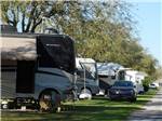 View larger image of A row of motorhomes in spaces at THE SPRINGS RV RESORT image #4