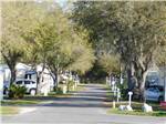 View larger image of A road leading down the homes at THE SPRINGS RV RESORT image #9