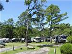 View larger image of An aerial view of the campsites at LAKE AIRE RV PARK  CAMPGROUND image #5